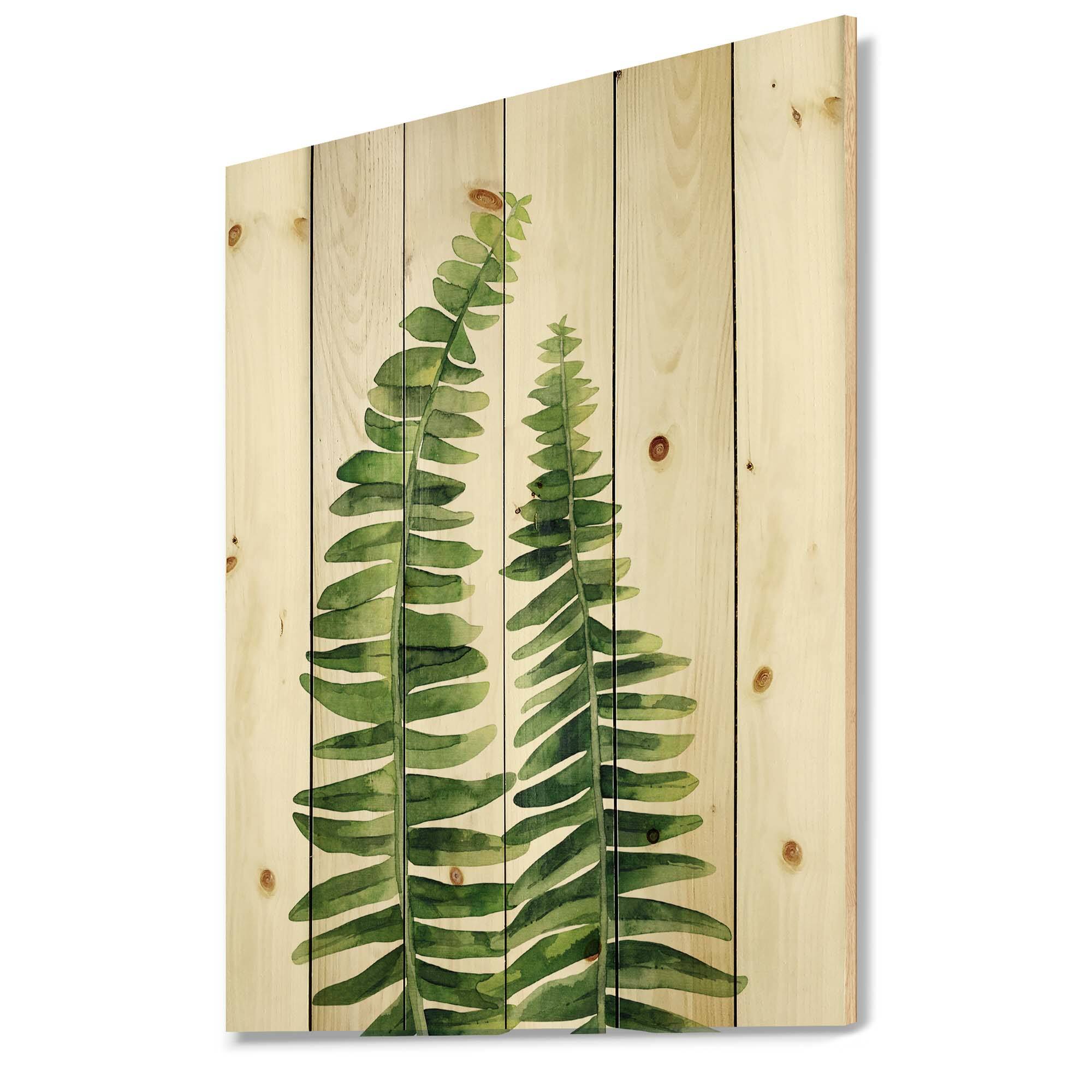 Designart - Fern Leaves Detail IV